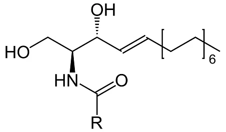 product-450-264